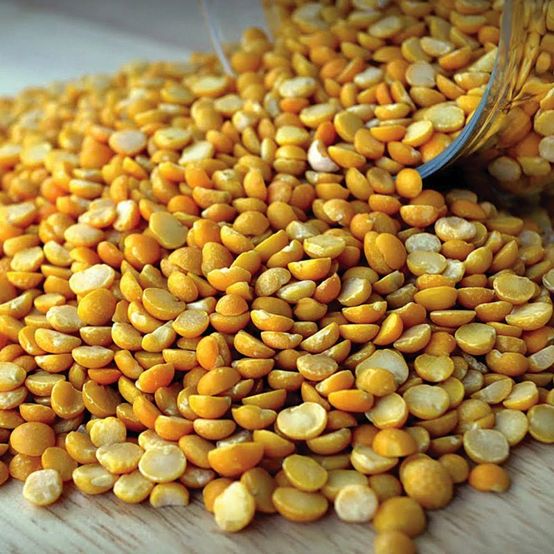 Organic Fava beans - 500g - Image 3