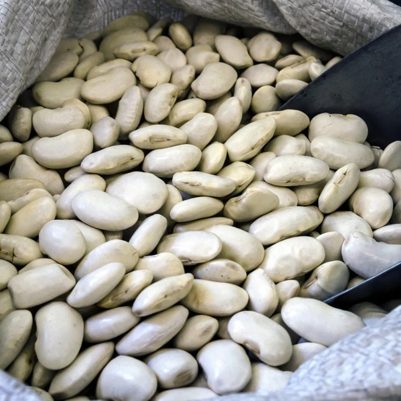 Organic Gigantes beans - 400g - Image 2