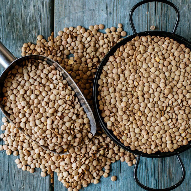 Organic Lentils beans - 500g - Image 3
