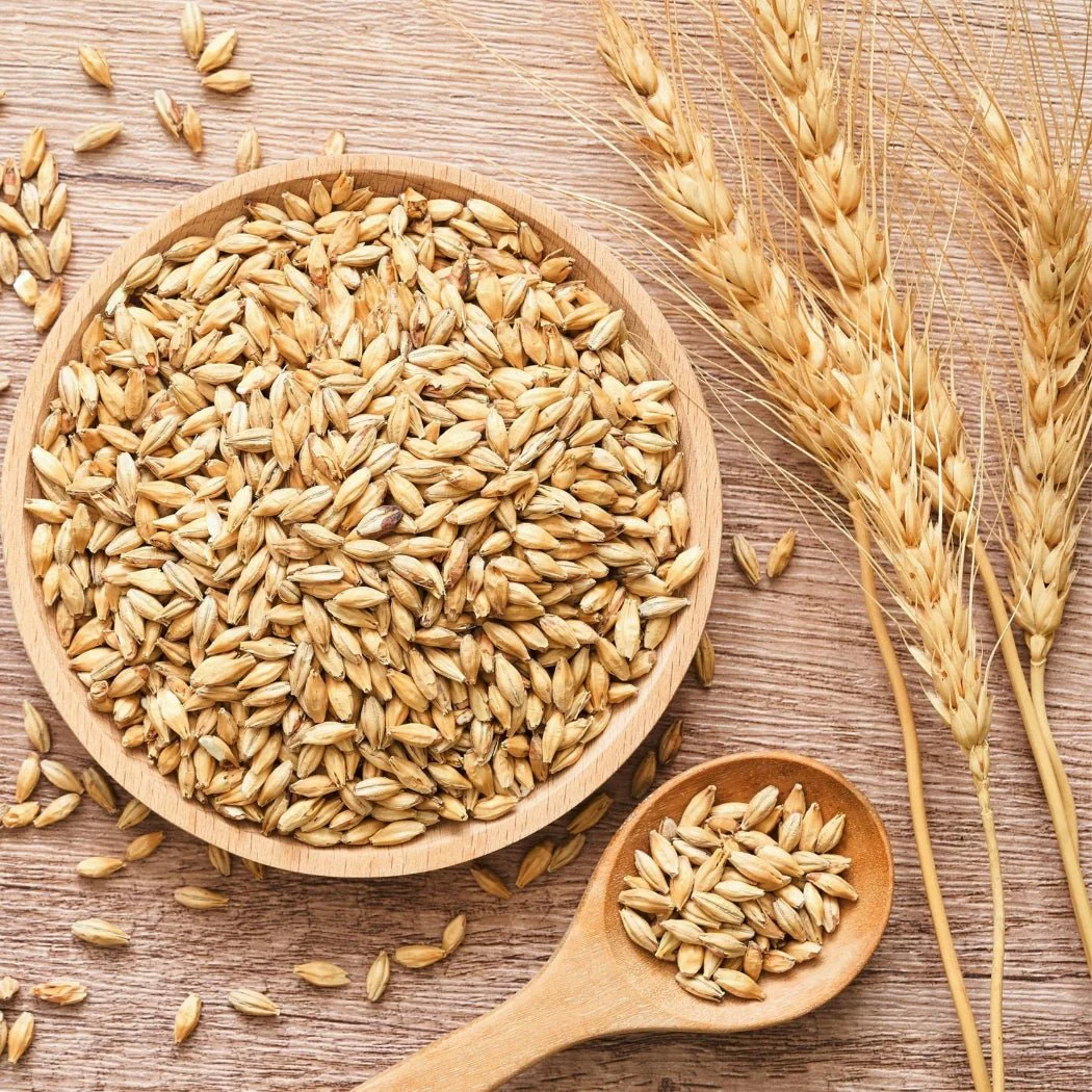 Cretan Barley Dakos Rusks - 500g - Image 2