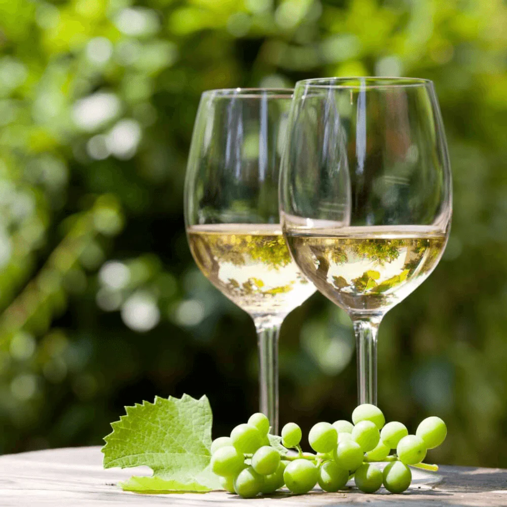 White Malagouzia – 750ml - Image 2